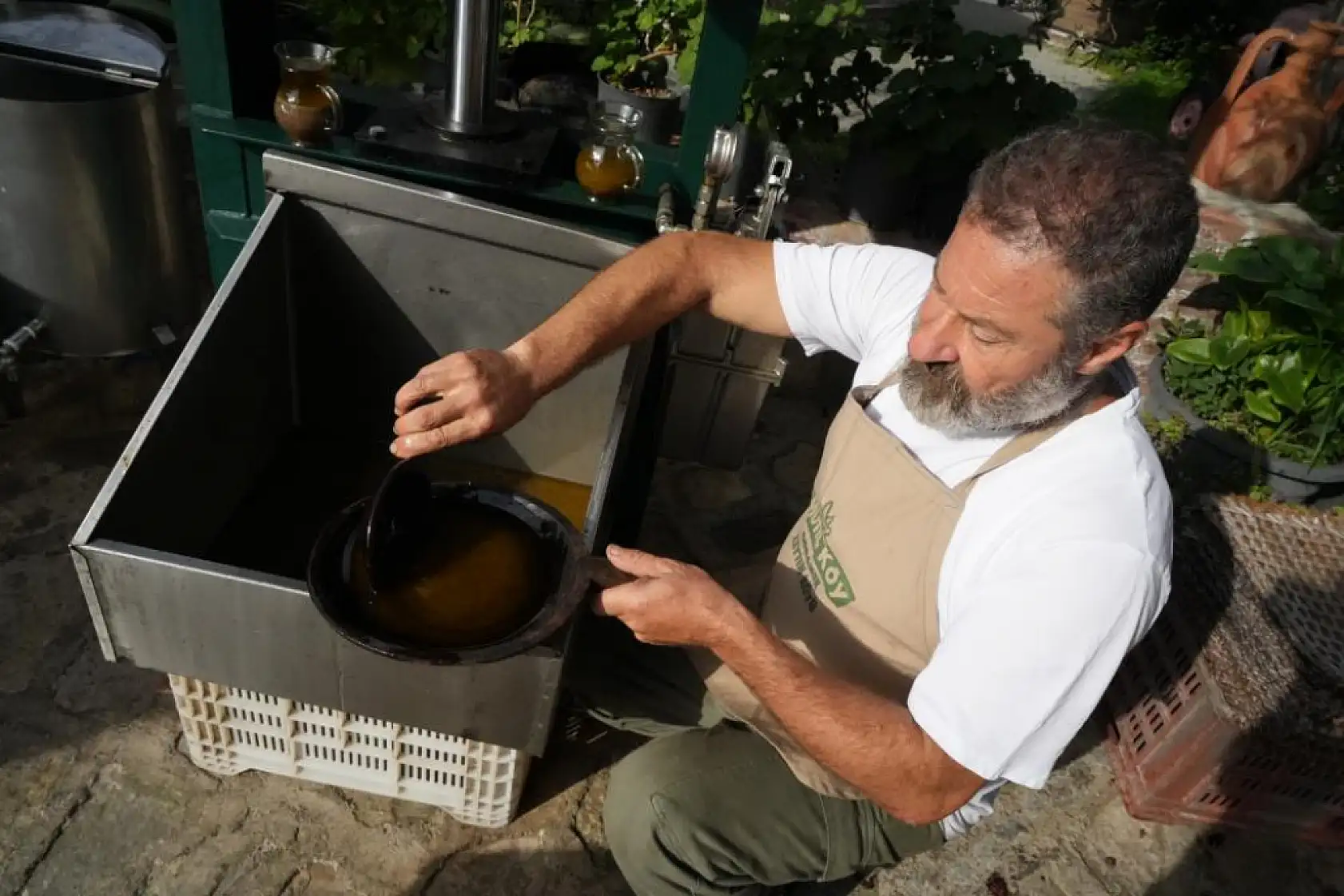 Kekikli Zeytinyağı Üretimi Yoğun İlgi Görüyor