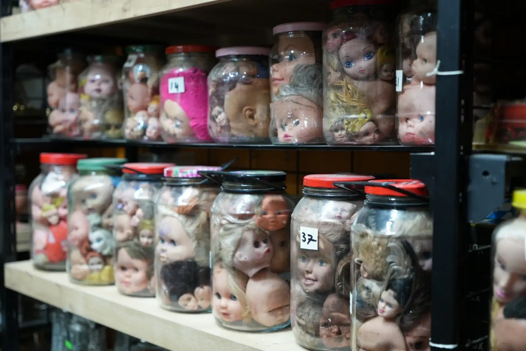 Görenleri ürküten sıra dışı koleksiyon