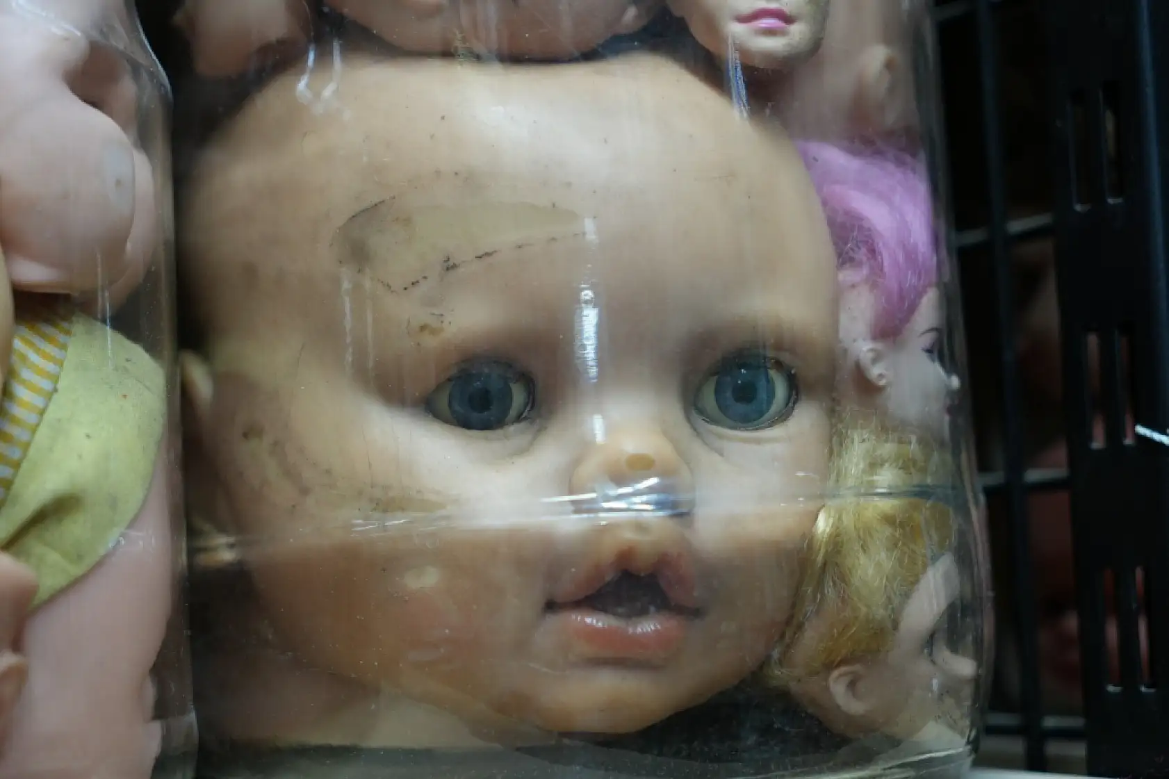 Görenleri ürküten sıra dışı koleksiyon