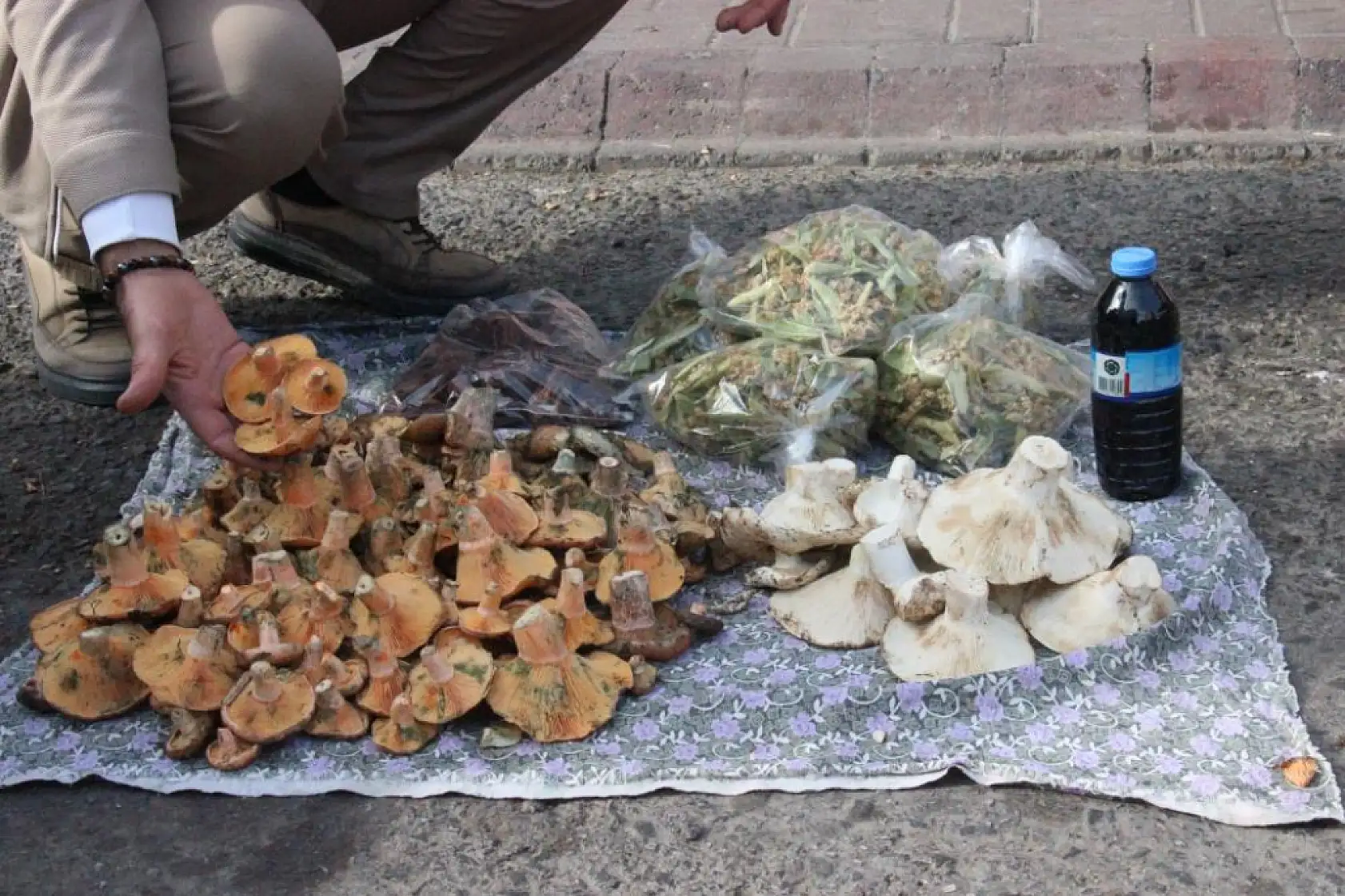 Lezzeti cezbediyor, toplaması dikkat istiyor