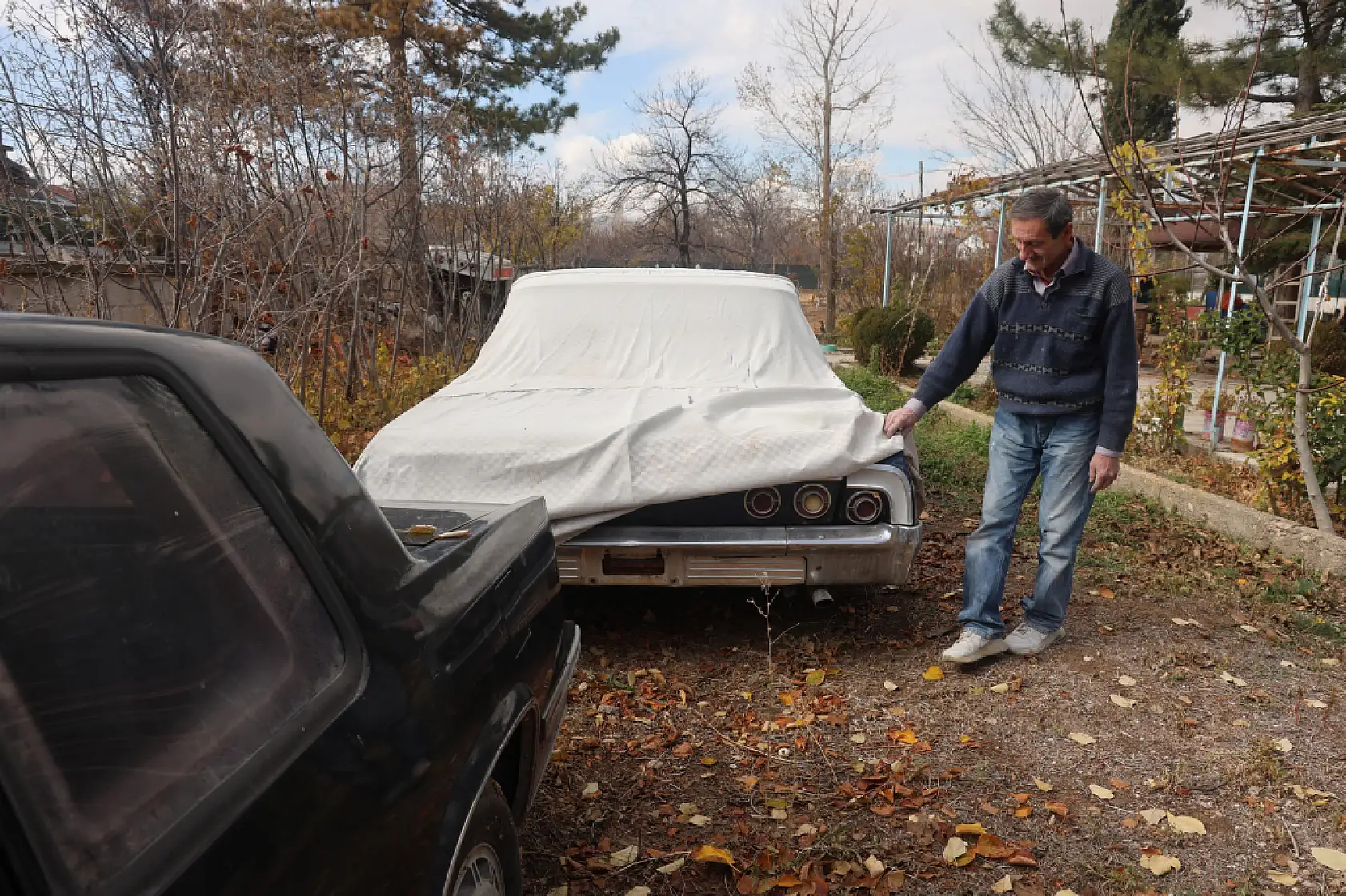 Bu serada sebze değil klasik araba yetişiyor