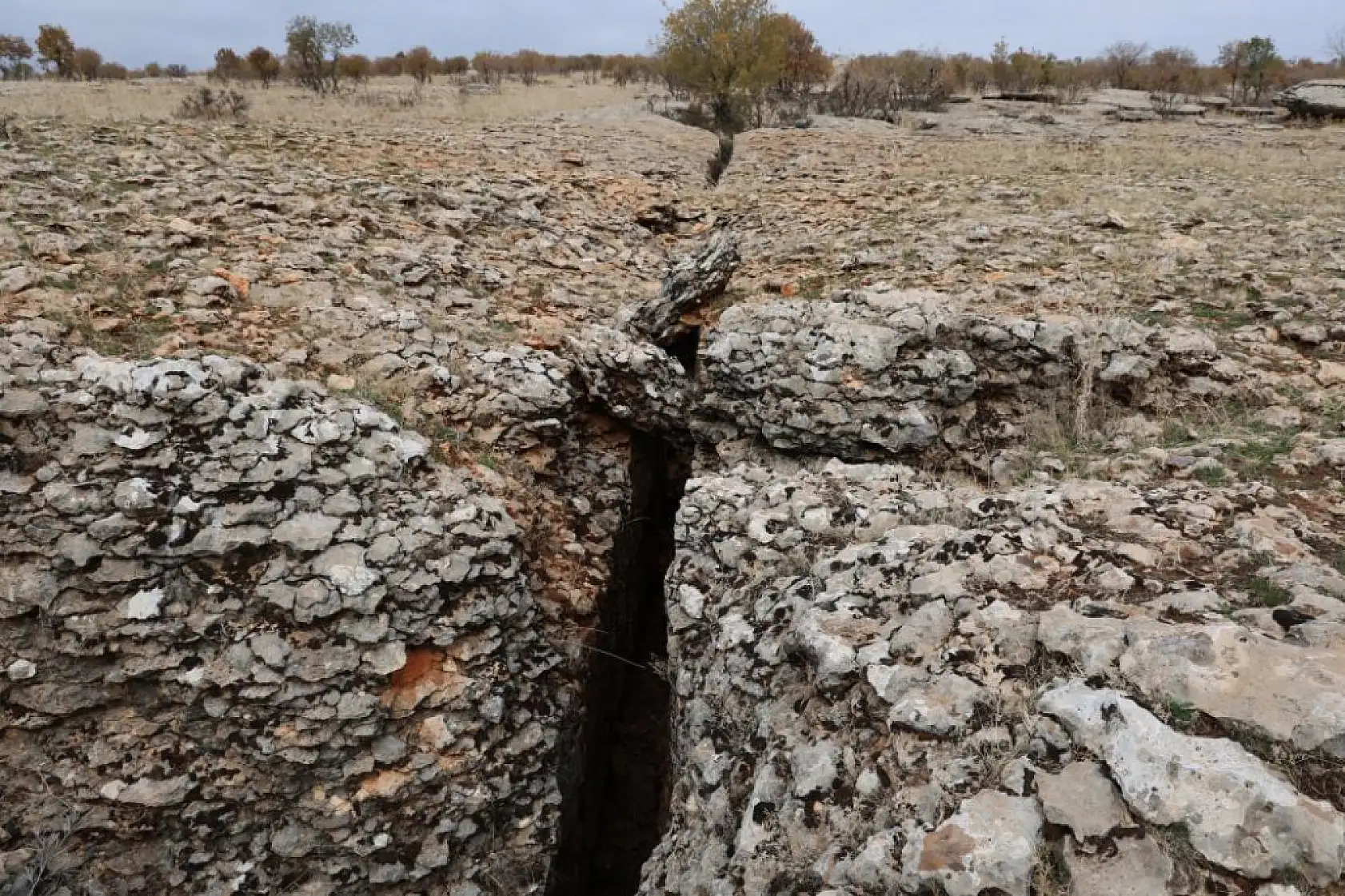 Yüz milyonlarca yıl önceye ait fosiller bulundu