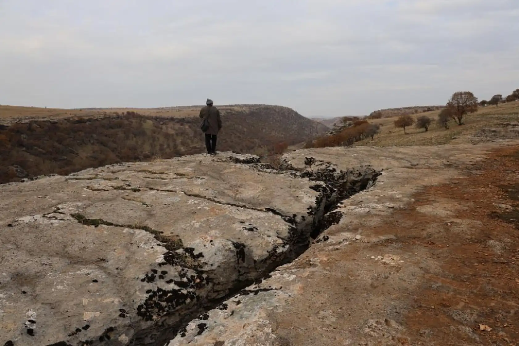 Yüz milyonlarca yıl önceye ait fosiller bulundu