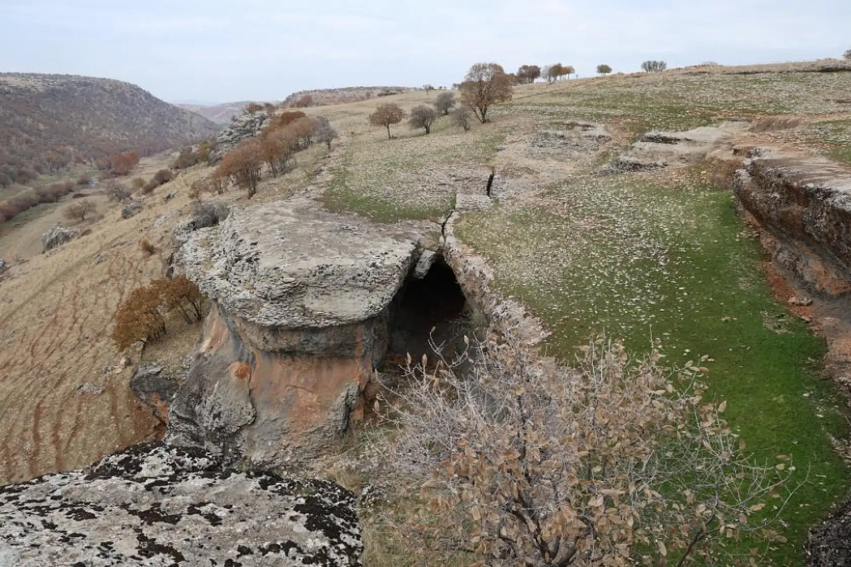 Yüz milyonlarca yıl önceye ait fosiller bulundu