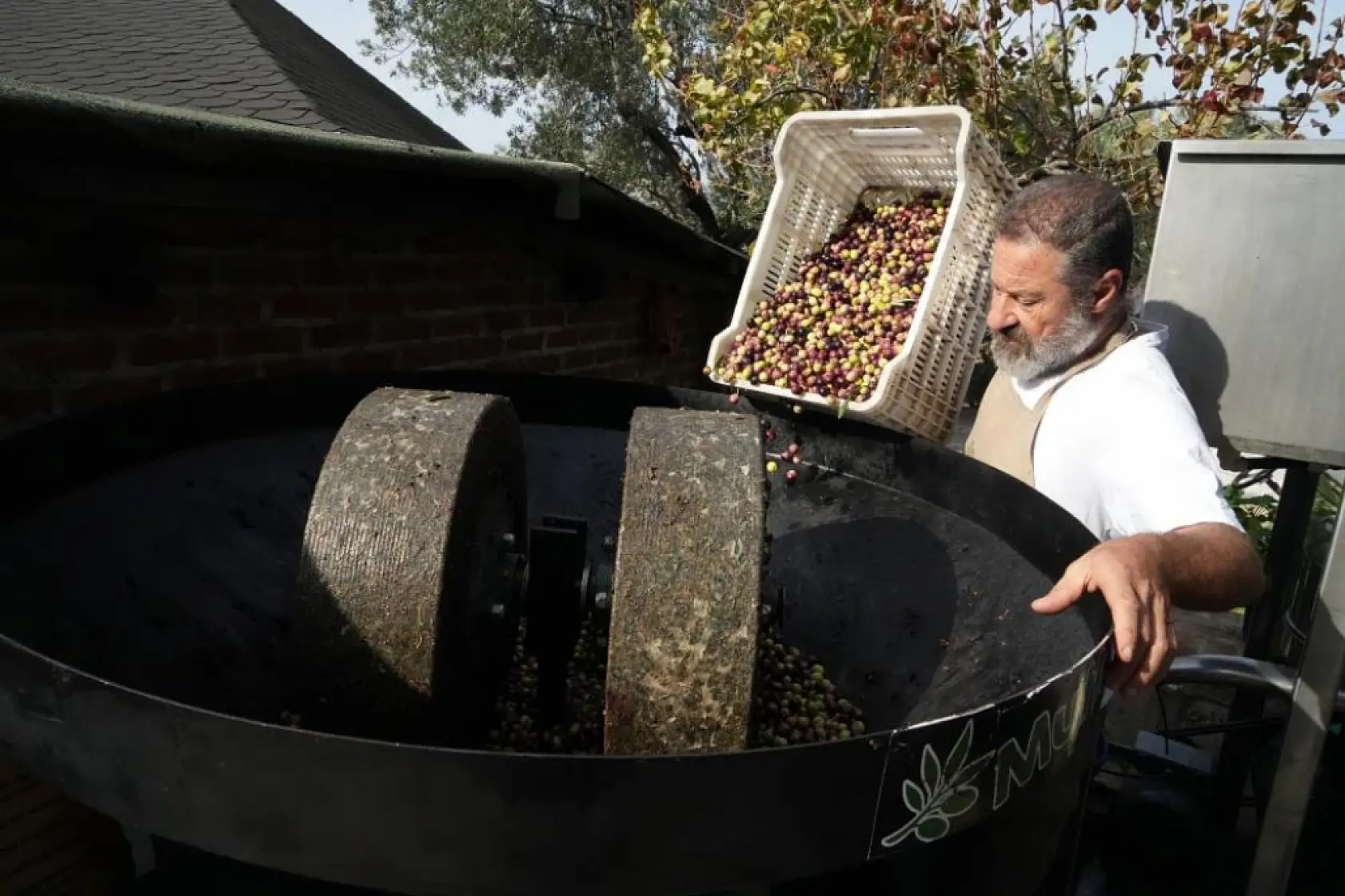 Zeytinyağında dededen kalma 'taş baskı' yöntemini yaşatıyor