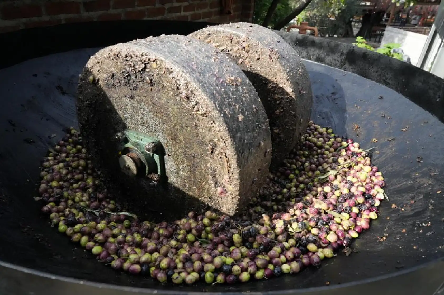 Zeytinyağında dededen kalma 'taş baskı' yöntemini yaşatıyor