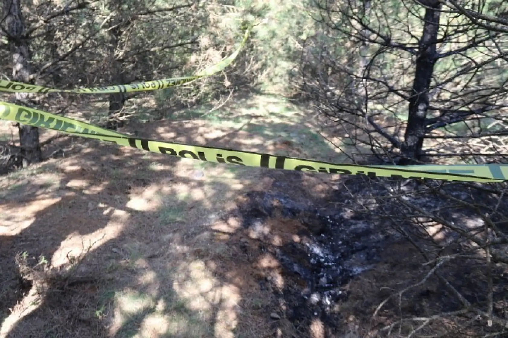 Vahşi cinayet zanlısı önce boğmuş sonra 2 gün art arda yakmış