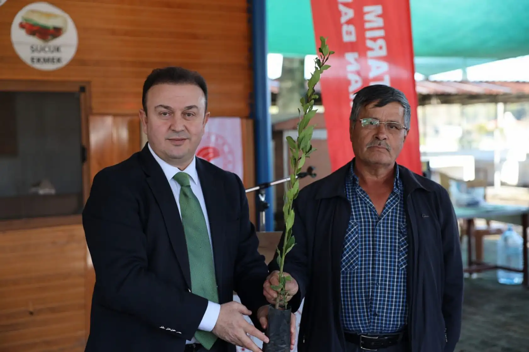 Ula'da üreticilere 38 bin defne fidanı dağıtıldı