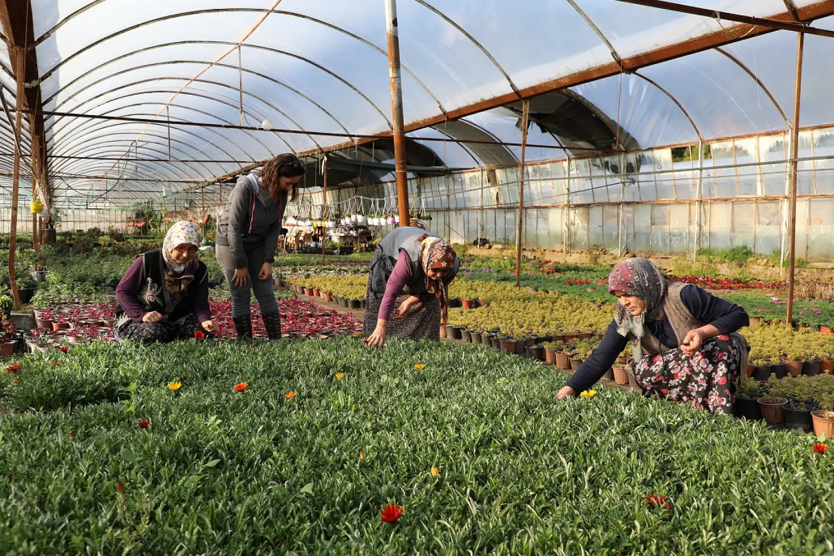 Muğla Büyükşehir Kadın Emeğiyle Yerel Kalkınmayı Güçlendiriyor