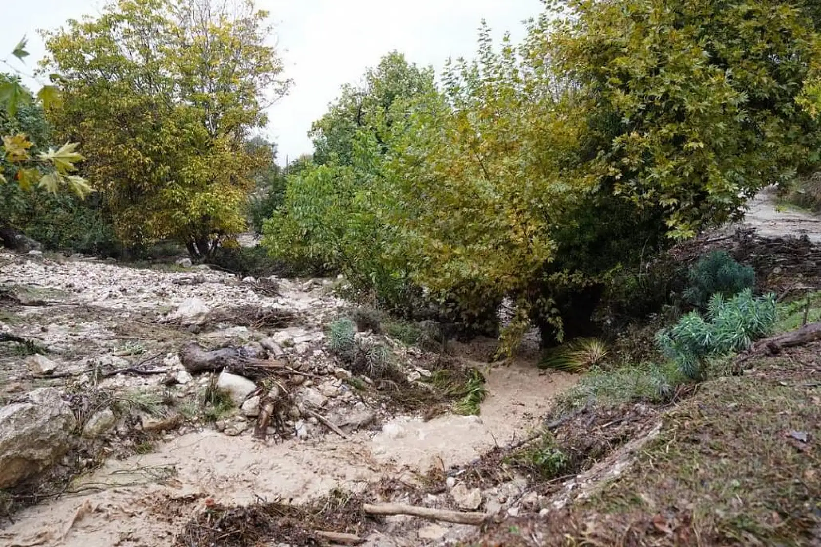 Başkan Akdenizli Sel Felaketinin Yaşandığı Bölgede İncelemelerde Bulundu