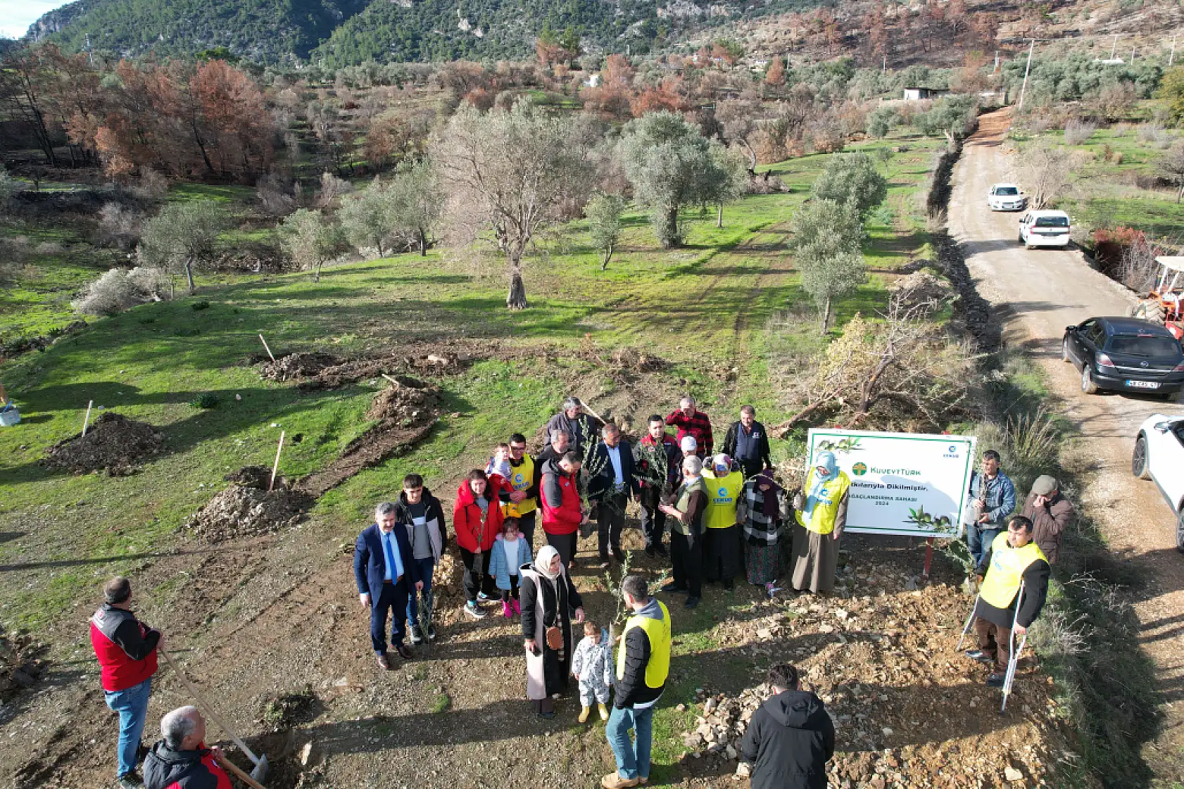 Muğla'da Yangından Zarar Gören Alanlara Zeytin Fidanı Umudu