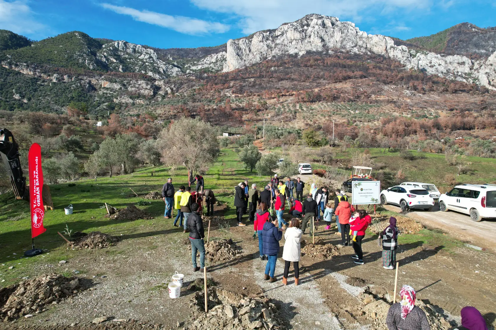 Muğla'da Yangından Zarar Gören Alanlara Zeytin Fidanı Umudu