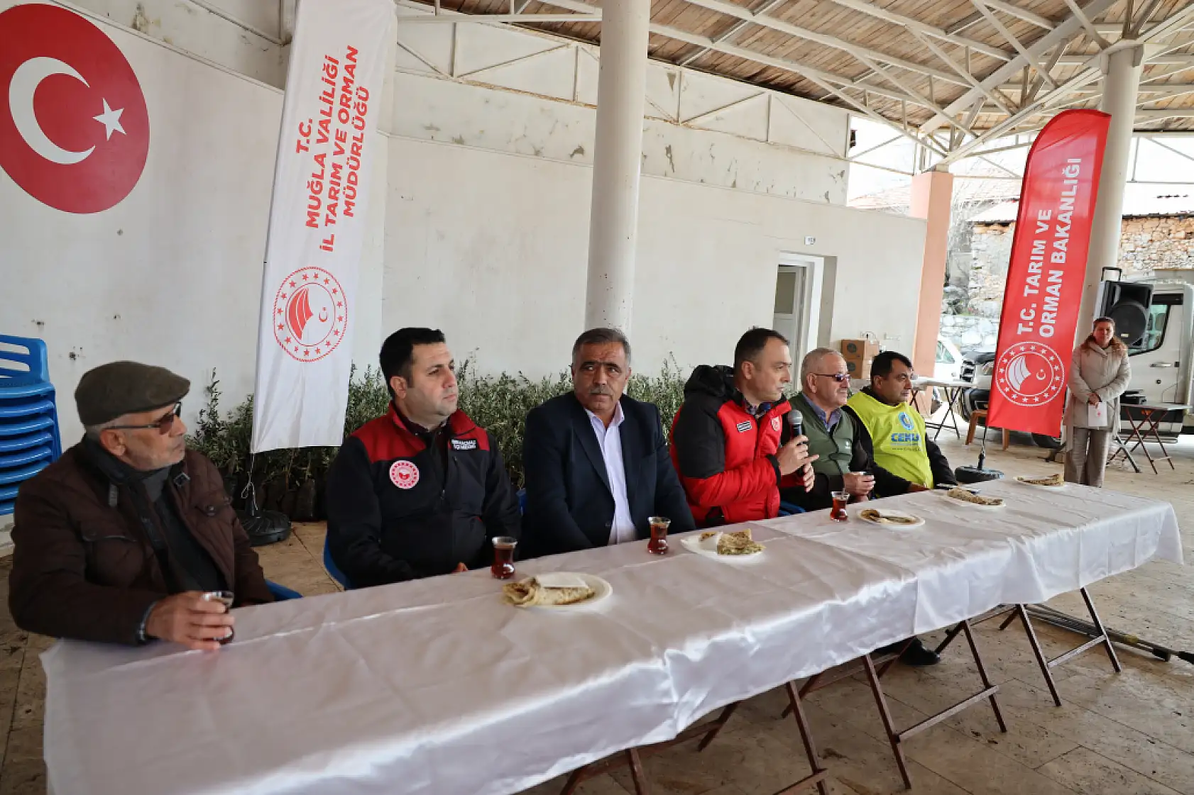 Muğla'da Yangından Zarar Gören Alanlara Zeytin Fidanı Umudu