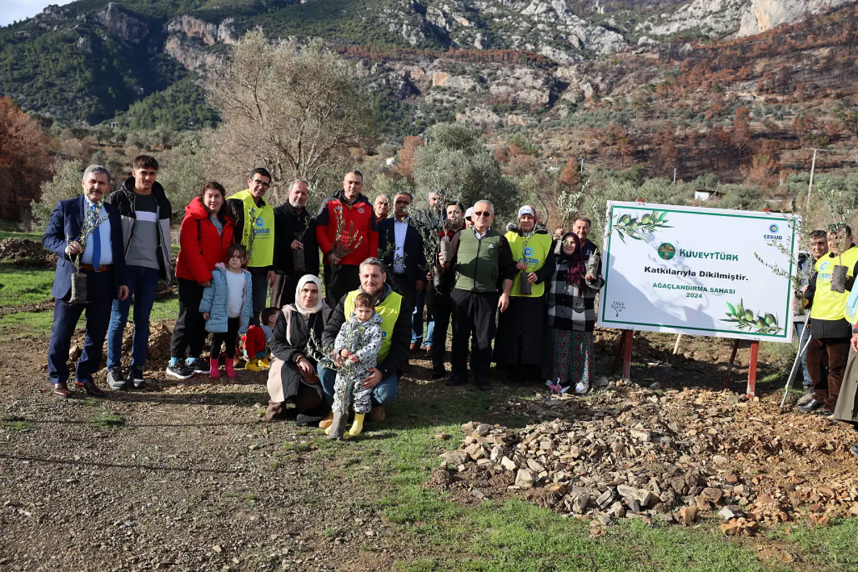 Muğla'da Yangından Zarar Gören Alanlara Zeytin Fidanı Umudu