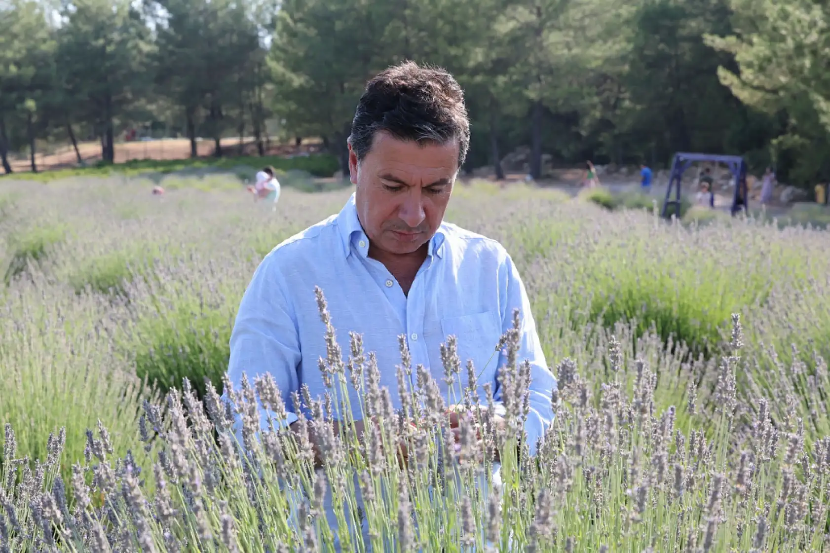 Muğla'da Aromatik Üretim Ekonomiye Katkı Sağlıyor