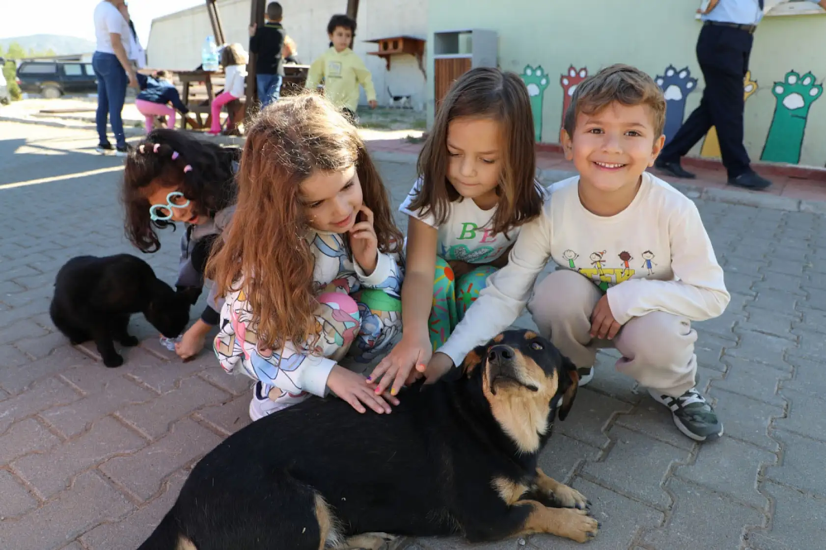 Büyükşehir Geçici Hayvan Bakımevi'nden 3 Bin 779 Can Dosta Yeni Yuva