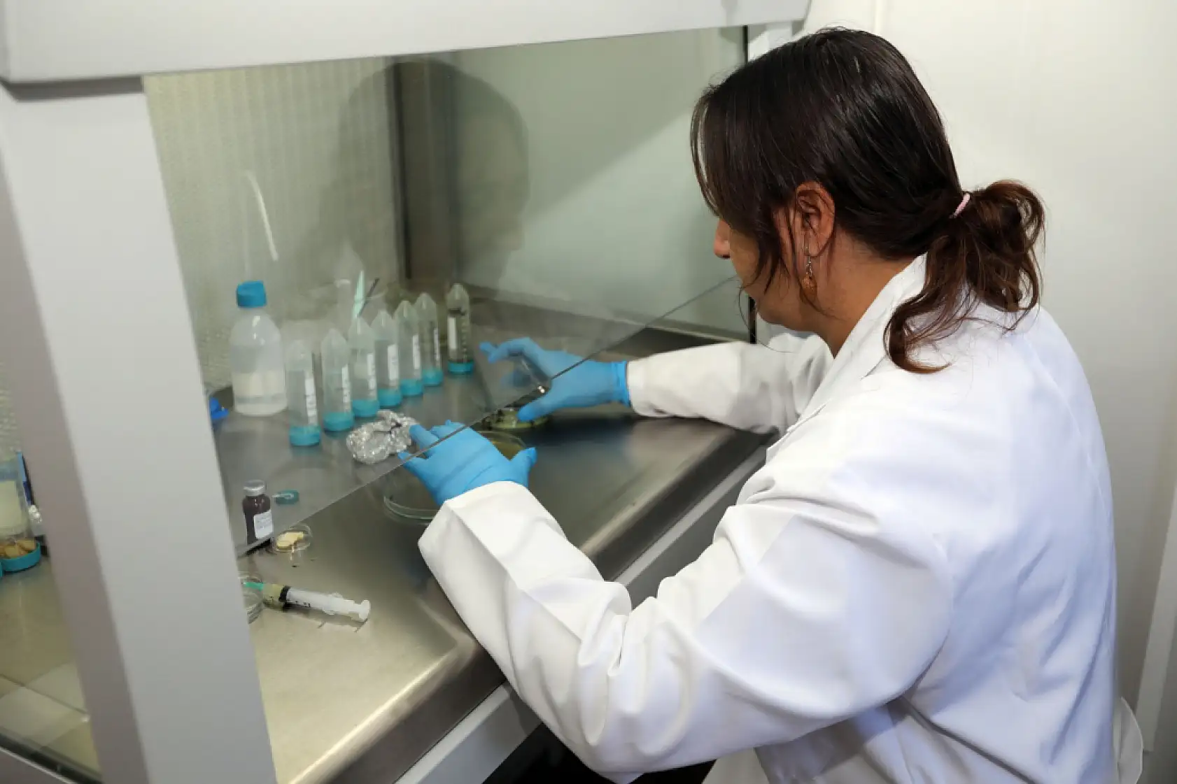 Muğla Büyükşehir 2026 Yılında 4 Milyon Yerel Tohum Dağıtımı Hedefliyor