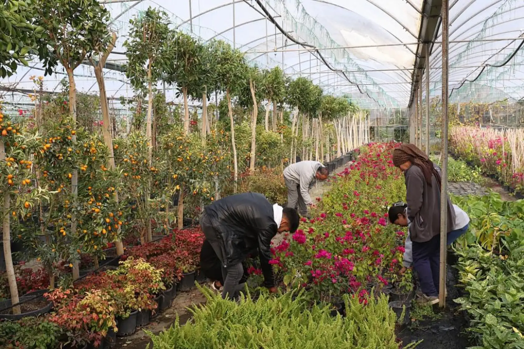 Muğla Büyükşehir'den yerel kalkınmaya katkı