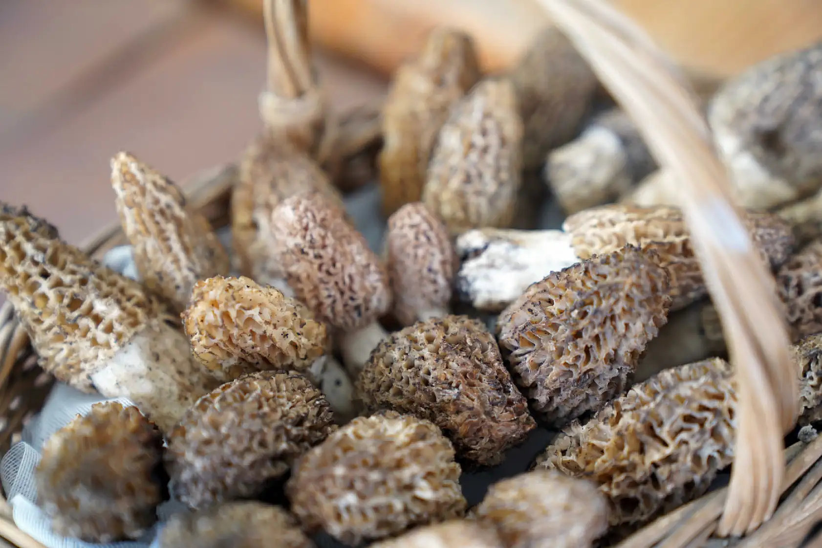 Fethiye'de Dastar ve Kuzu Göbeği Mantar Festivali Başlıyor!