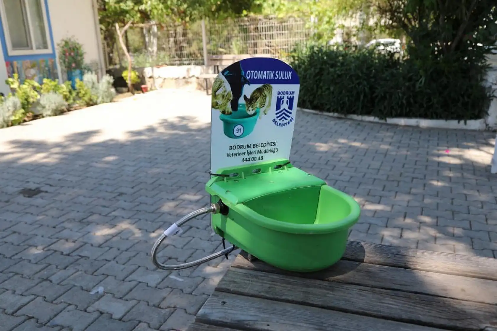 Sokak Hayvanları İçin Otomatik Suluk