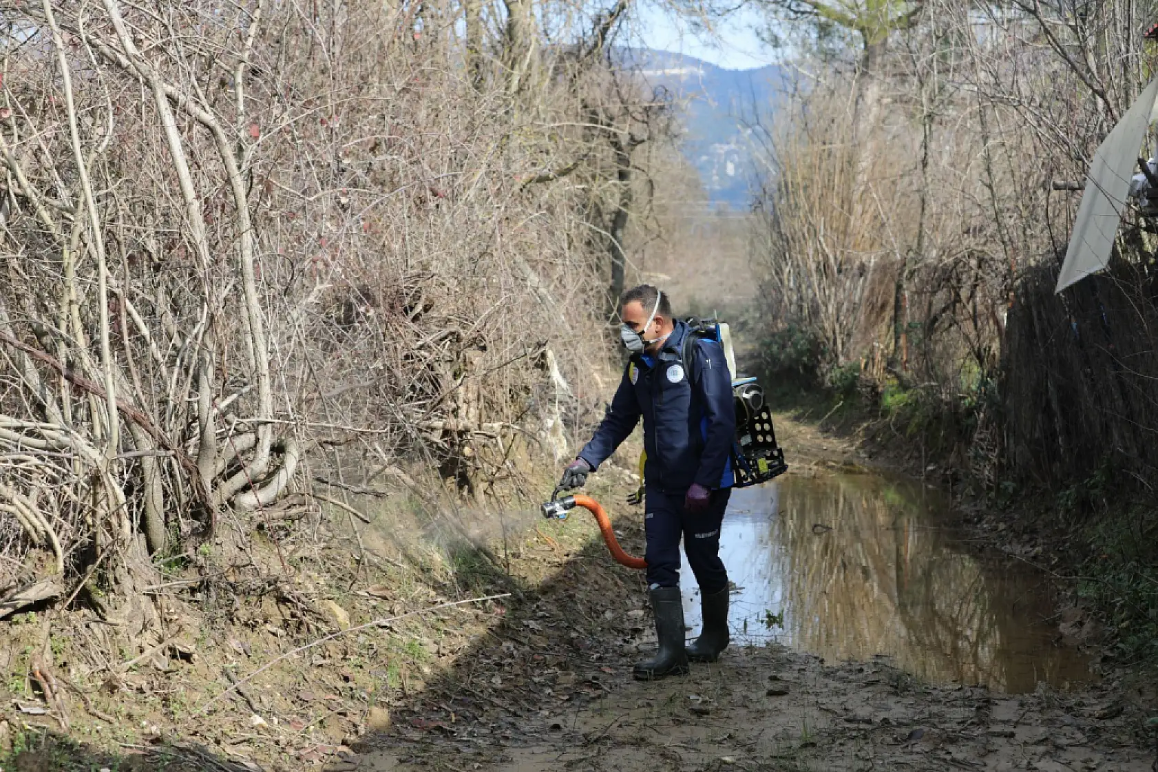Muğla Büyükşehir'den 13 İlçede Vektörle Mücadele