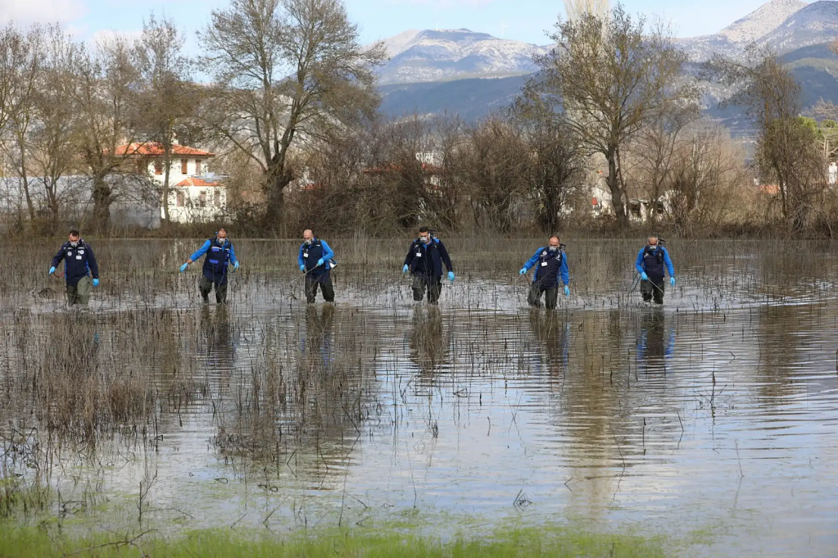 Muğla Büyükşehir'den 13 İlçede Vektörle Mücadele
