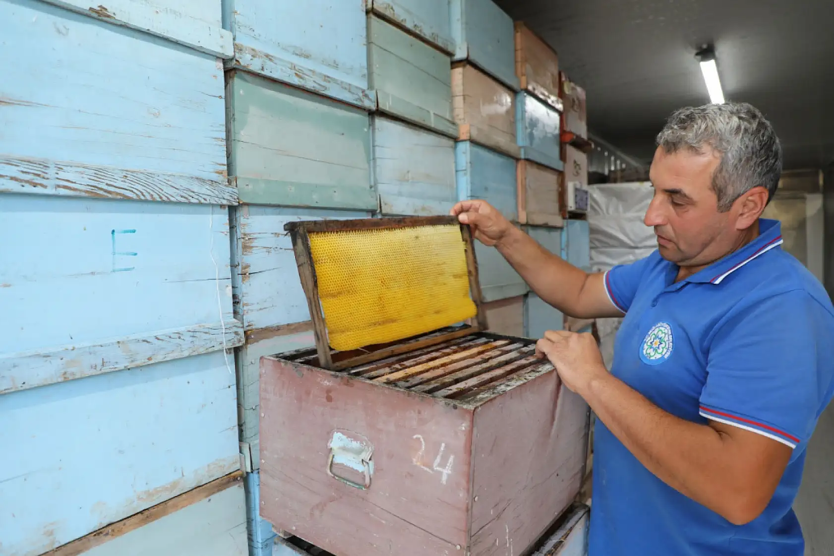 Muğla Büyükşehrin Türkiye'de İlk Olan Temiz Petek Projesi Başladı