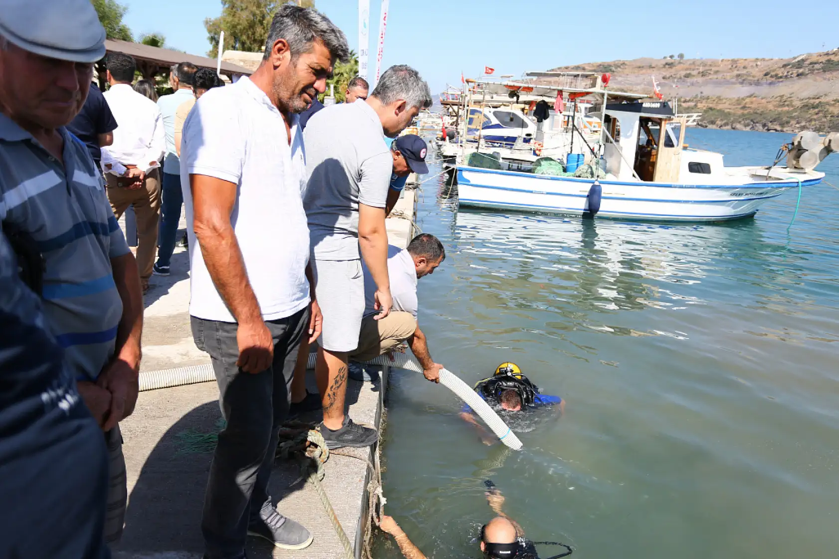 Milas Boğaziçi'nde 160 Bin Yavru Balık Denizle Buluştu