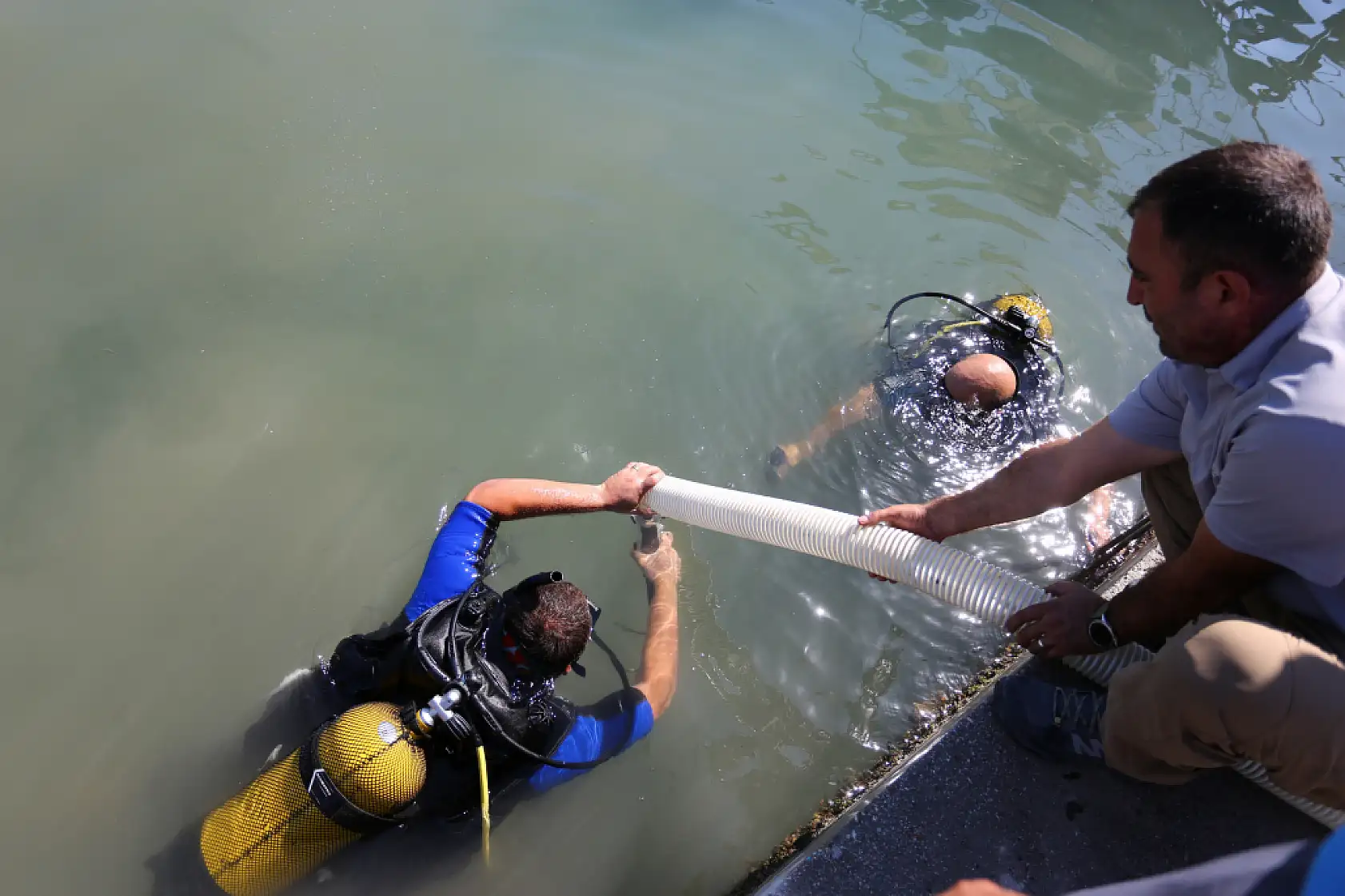 Milas Boğaziçi'nde 160 Bin Yavru Balık Denizle Buluştu