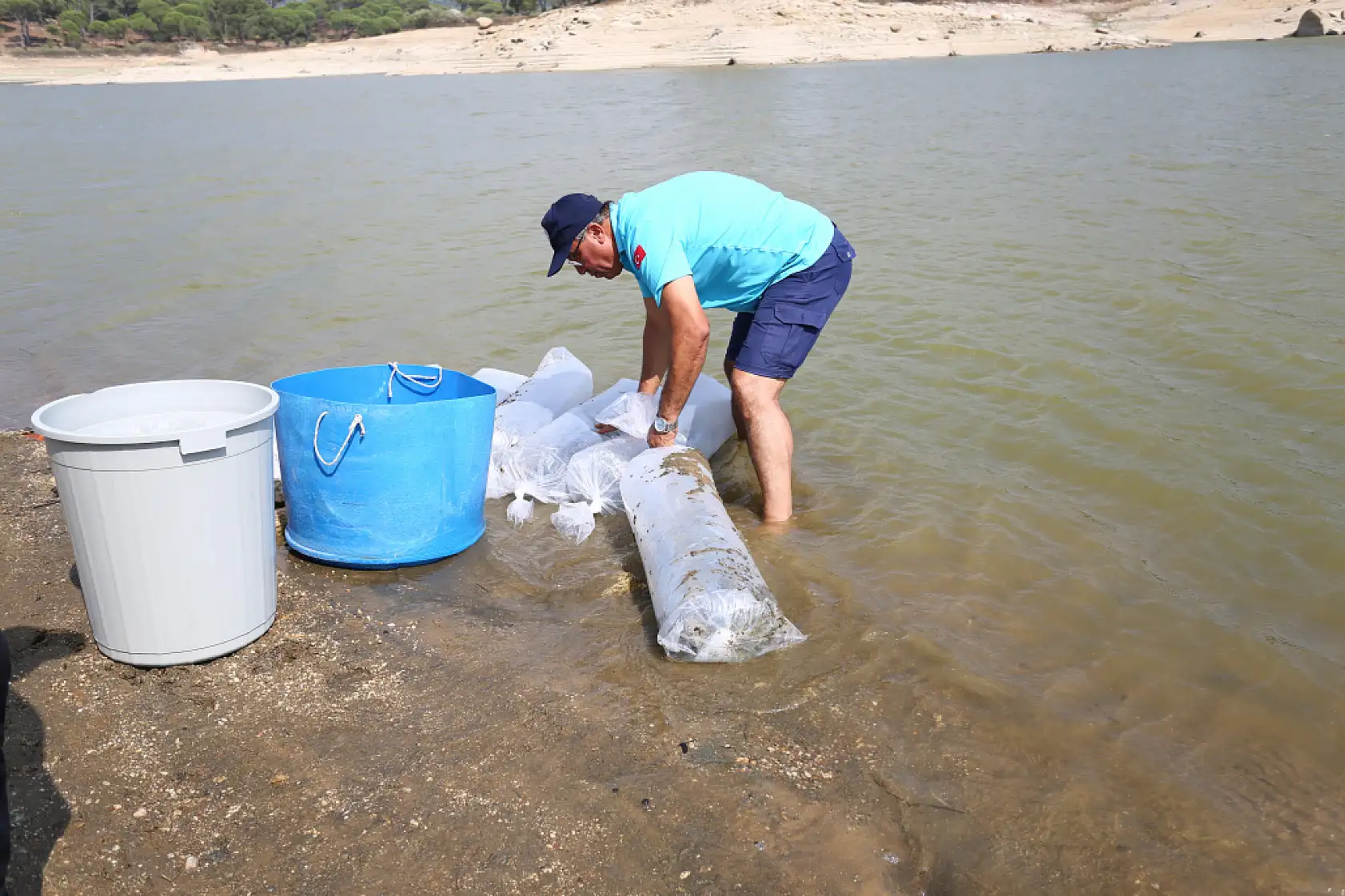 Geyik Barajı'na 100 Bin Balık Yavrusu Bırakıldı