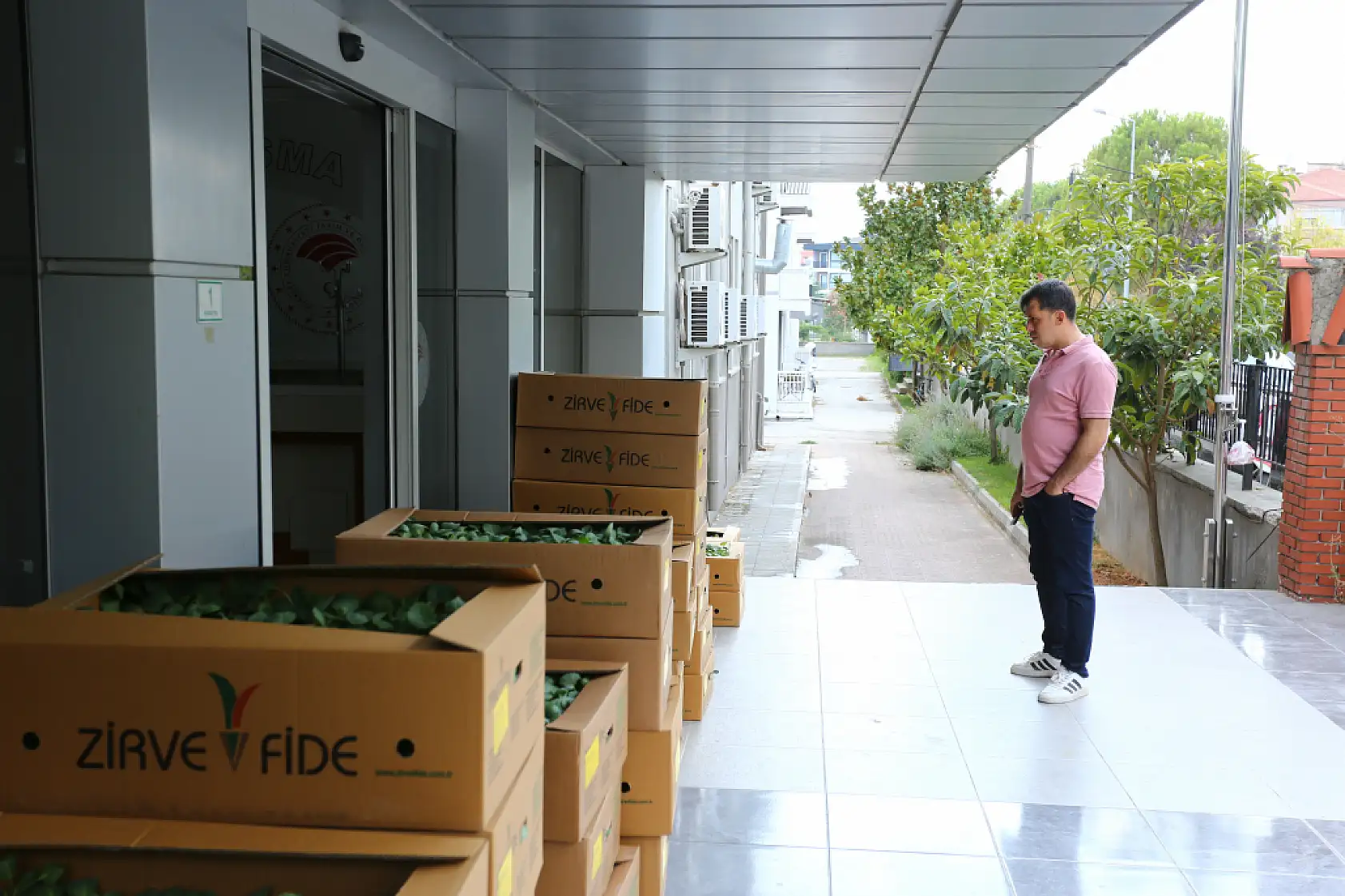 Muğla'da Kışlık Sebze Üretimi Güçleniyor: 162 Bin Fide Üreticiyle Buluştu