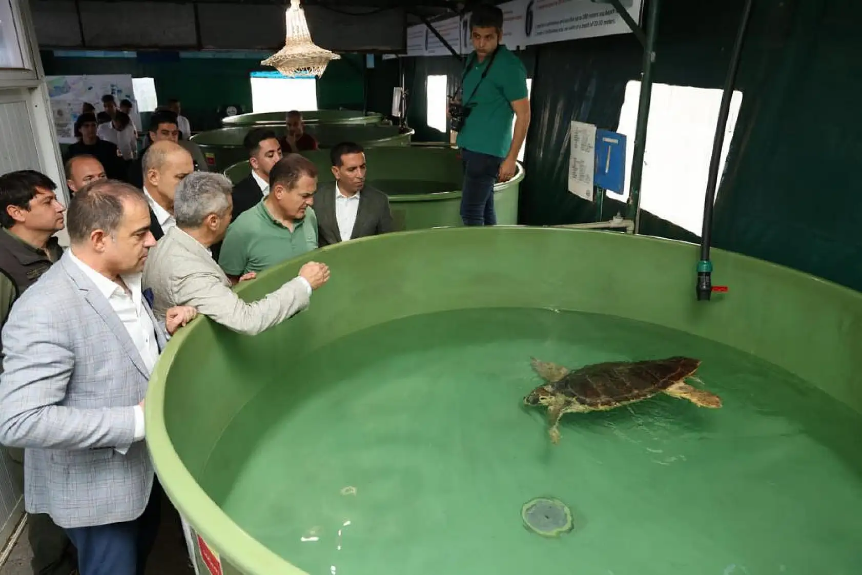 Vali Akbıyık, Deniz Kaplumbağalarını Denize Bıraktı
