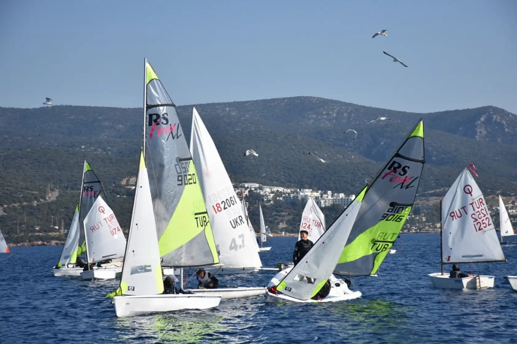 Bodrum'da 5. BODTO Mandalin Kupası Yelken Yarışları sona erdi