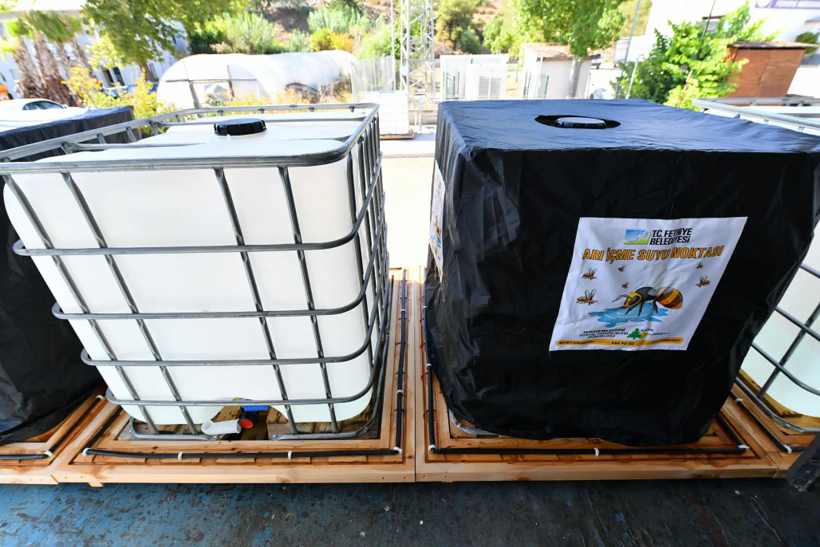 Fethiye Belediyesi'nden Türkiye'de Bir İlk: Arılar İçin İçme Suyu Noktaları Kuruldu