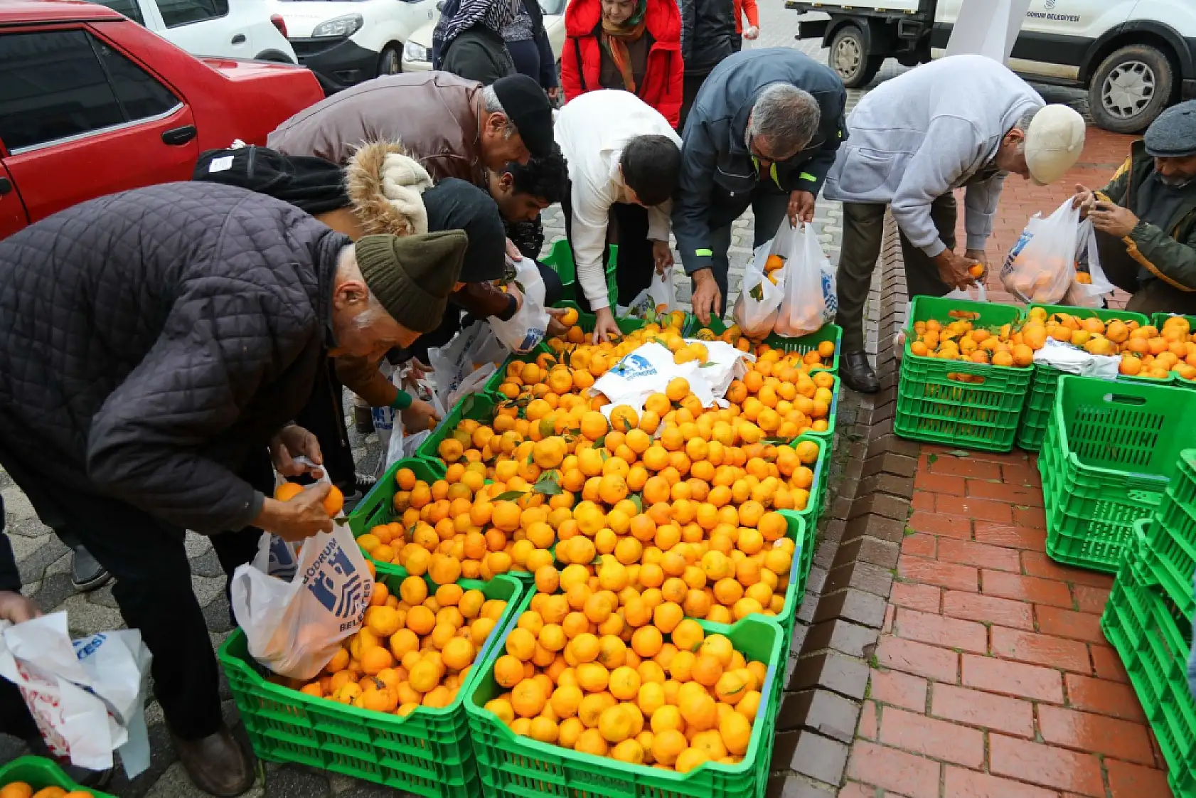 Bodrum'da 10 ton mandalina dağıtıldı