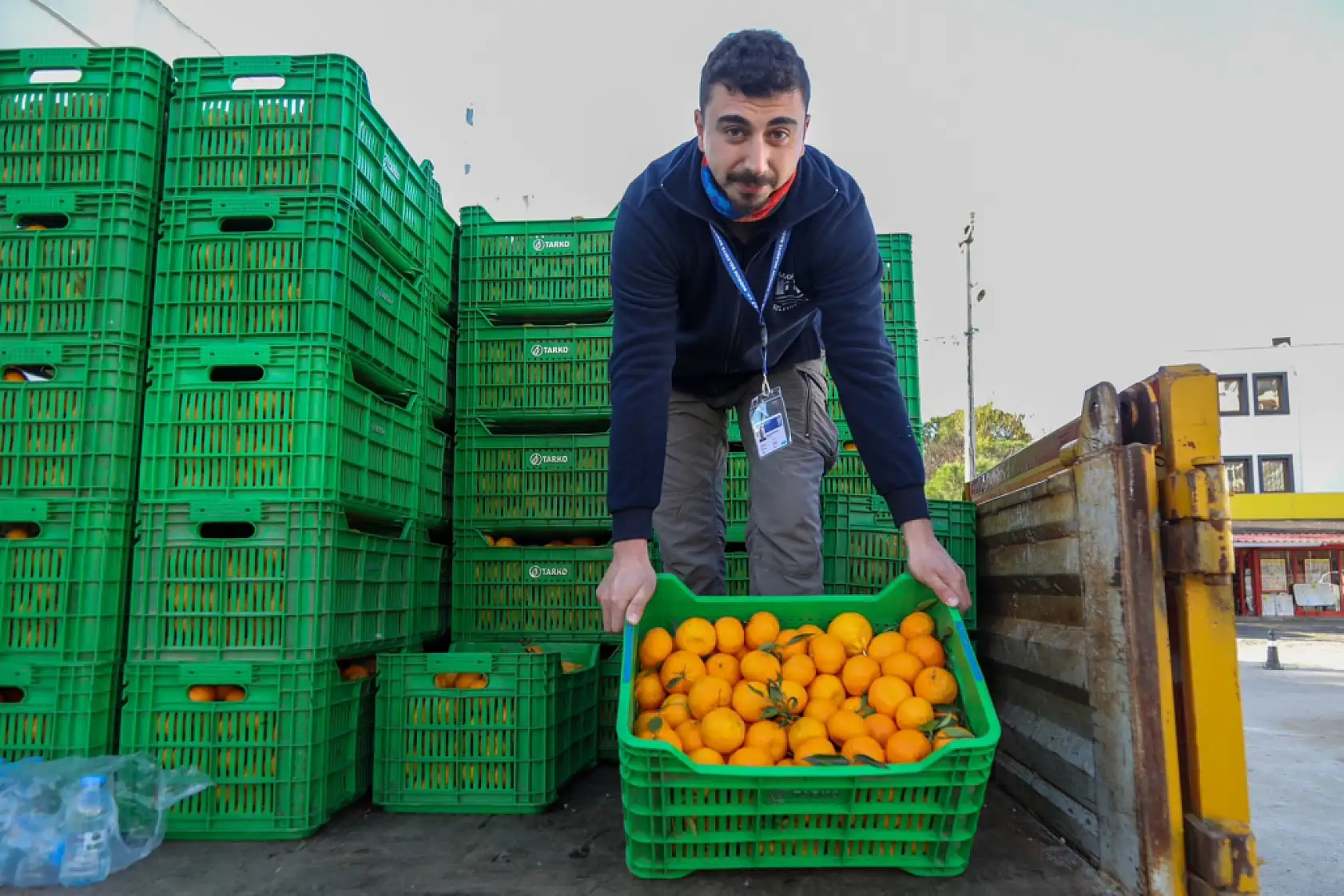 Bodrum'da 10 ton mandalina dağıtıldı