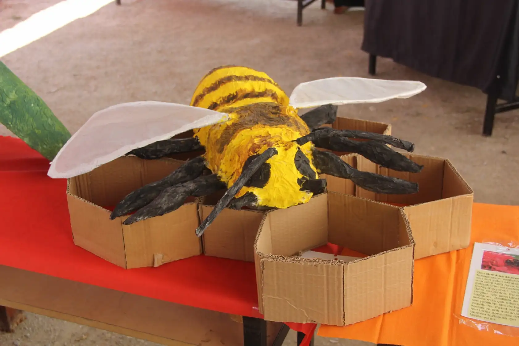 Muğla'da öğrenciler doğayla buluşuyor