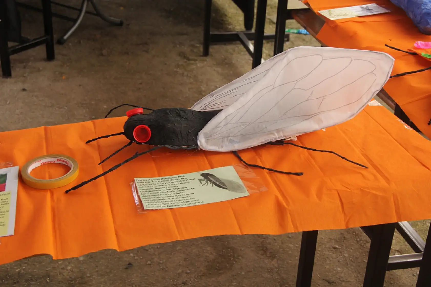 Muğla'da öğrenciler doğayla buluşuyor