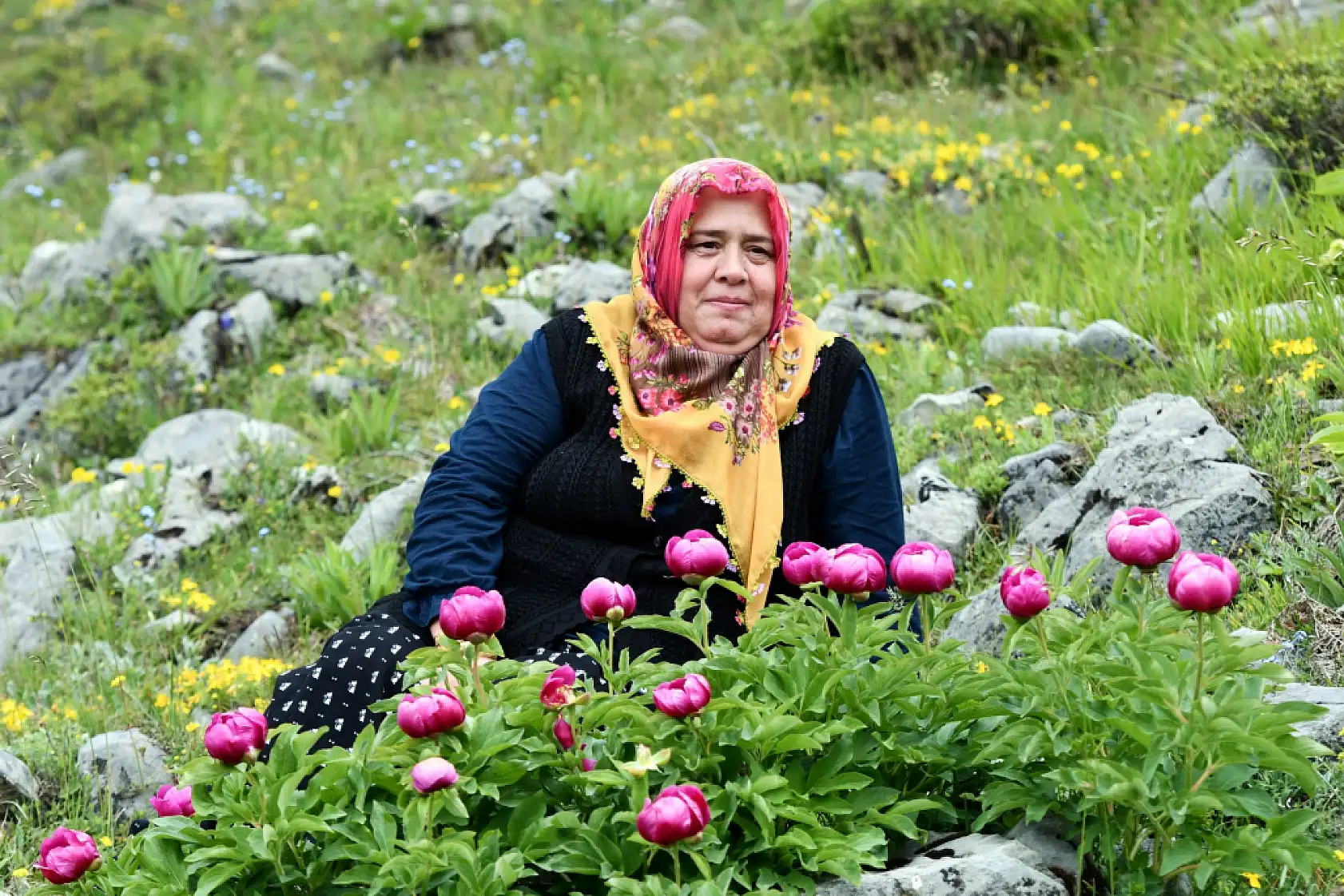 Yılda 10 gün açıyor: Bu çiçeği koparmanın cezası yarım milyon