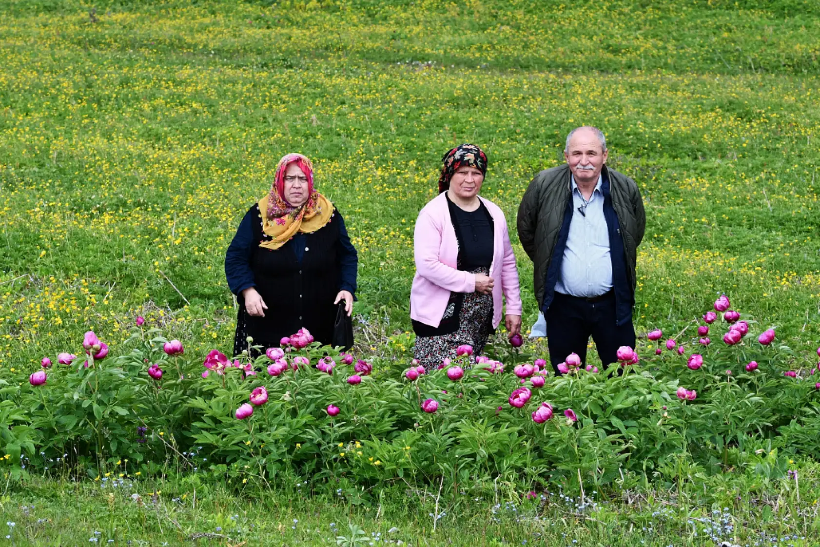 Yılda 10 gün açıyor: Bu çiçeği koparmanın cezası yarım milyon