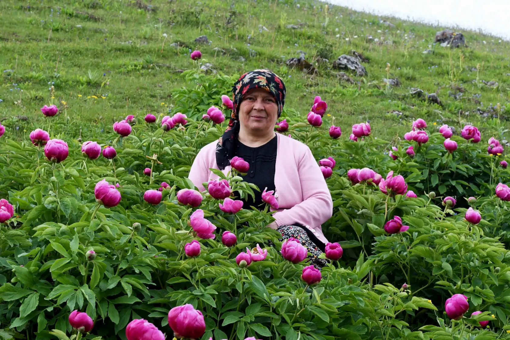 Yılda 10 gün açıyor: Bu çiçeği koparmanın cezası yarım milyon
