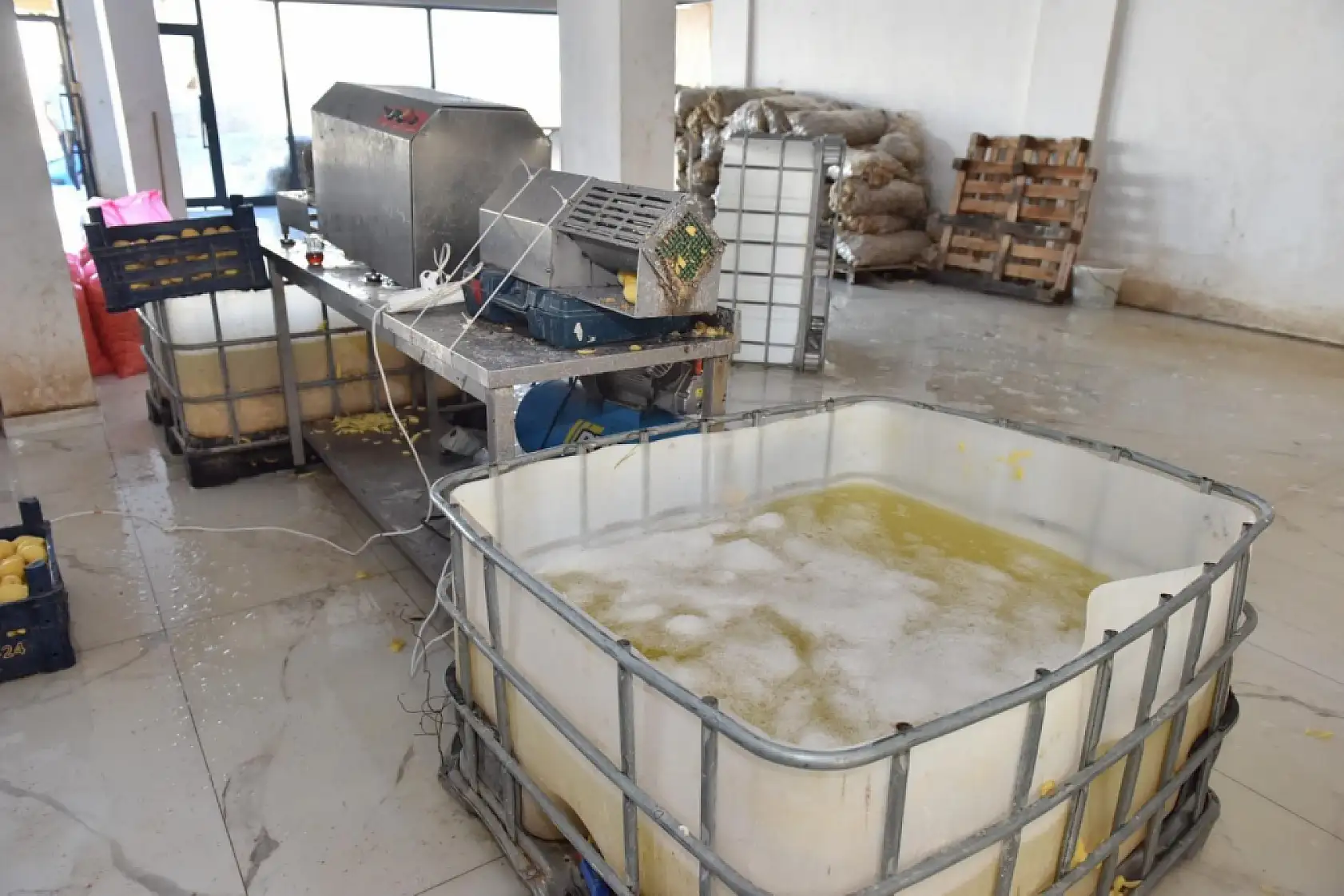 1,5 ton işlenmiş patates imha edildi