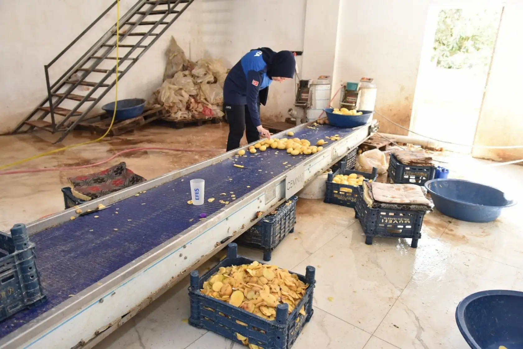 1,5 ton işlenmiş patates imha edildi