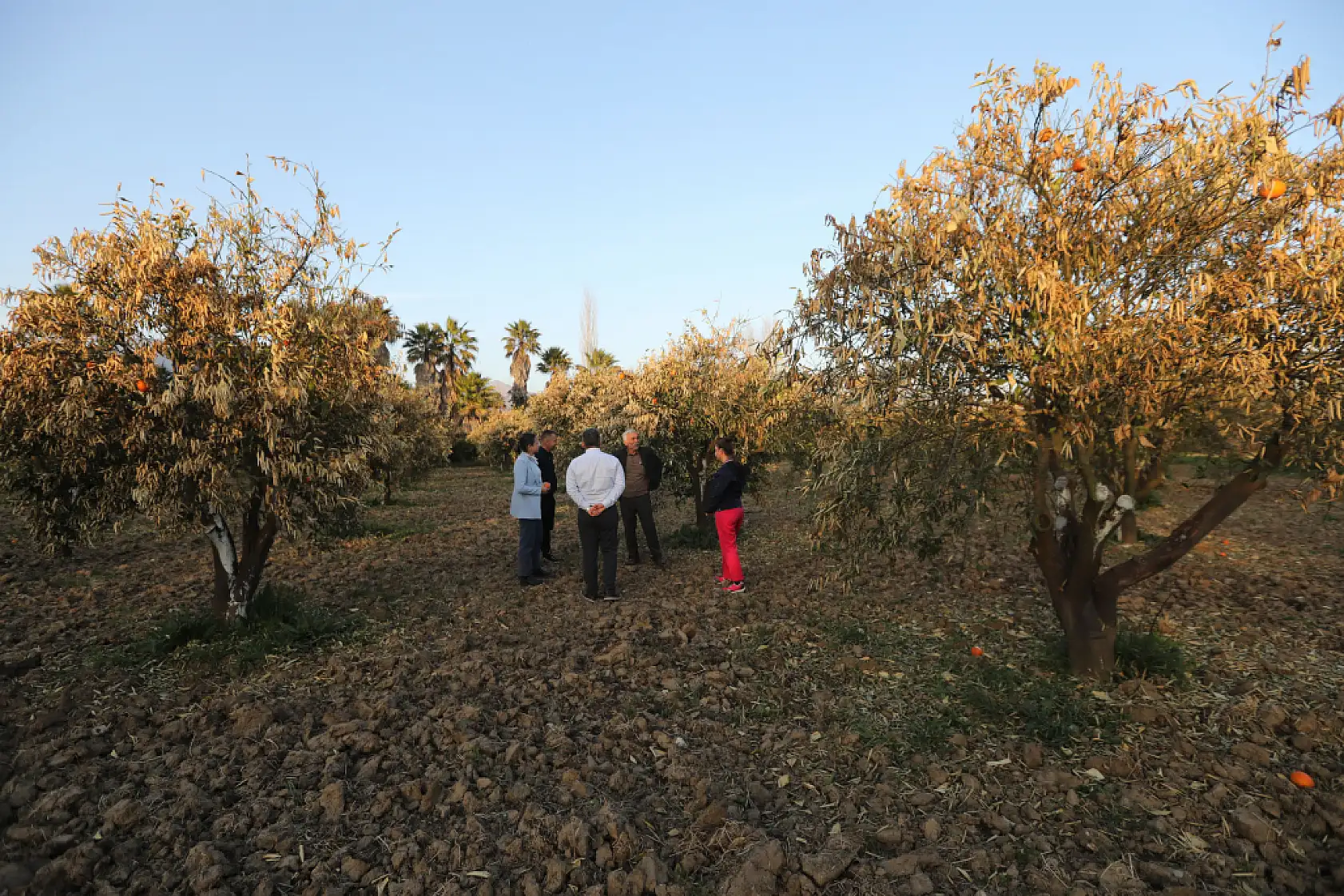 Muğla'da Çiftçilik Alarm Veriyor: Gençler Meslekten Uzaklaşıyor, Gıda Güvenliği Tehlikede