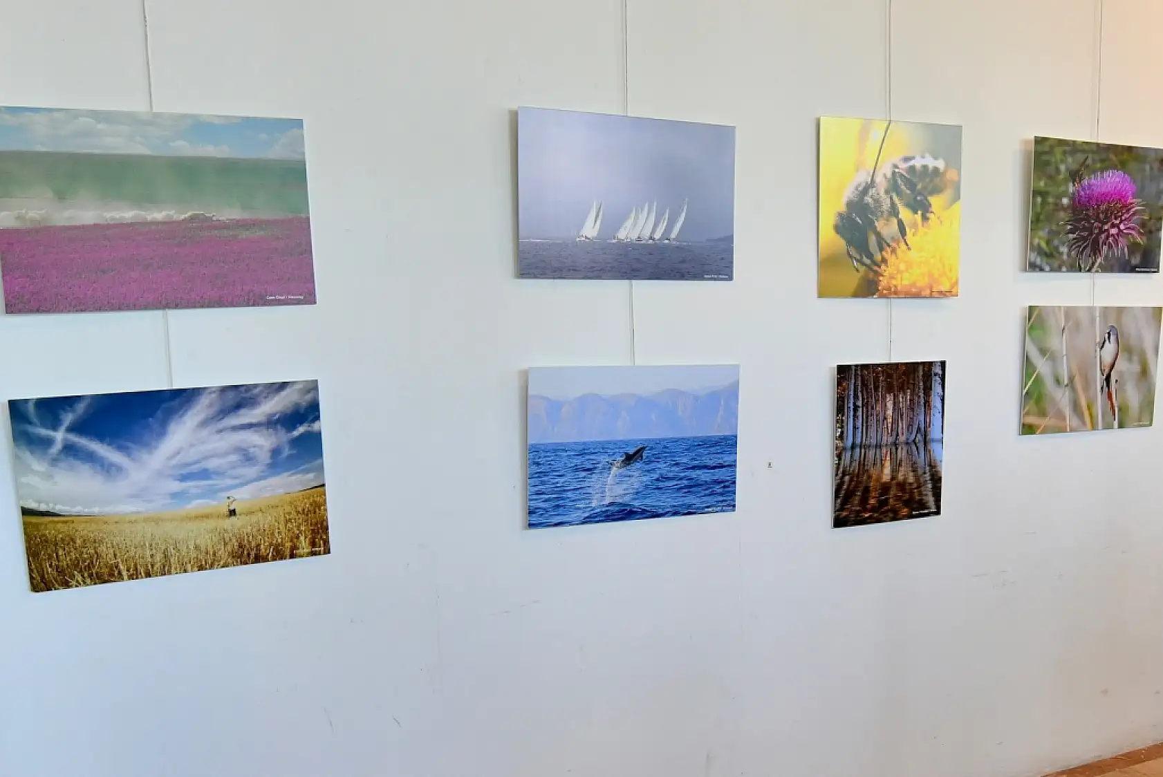 Fethiye'de Dostlar Fotoğraf Grubu 'İklim Değişirken Türkiye' adlı sergi açıldı