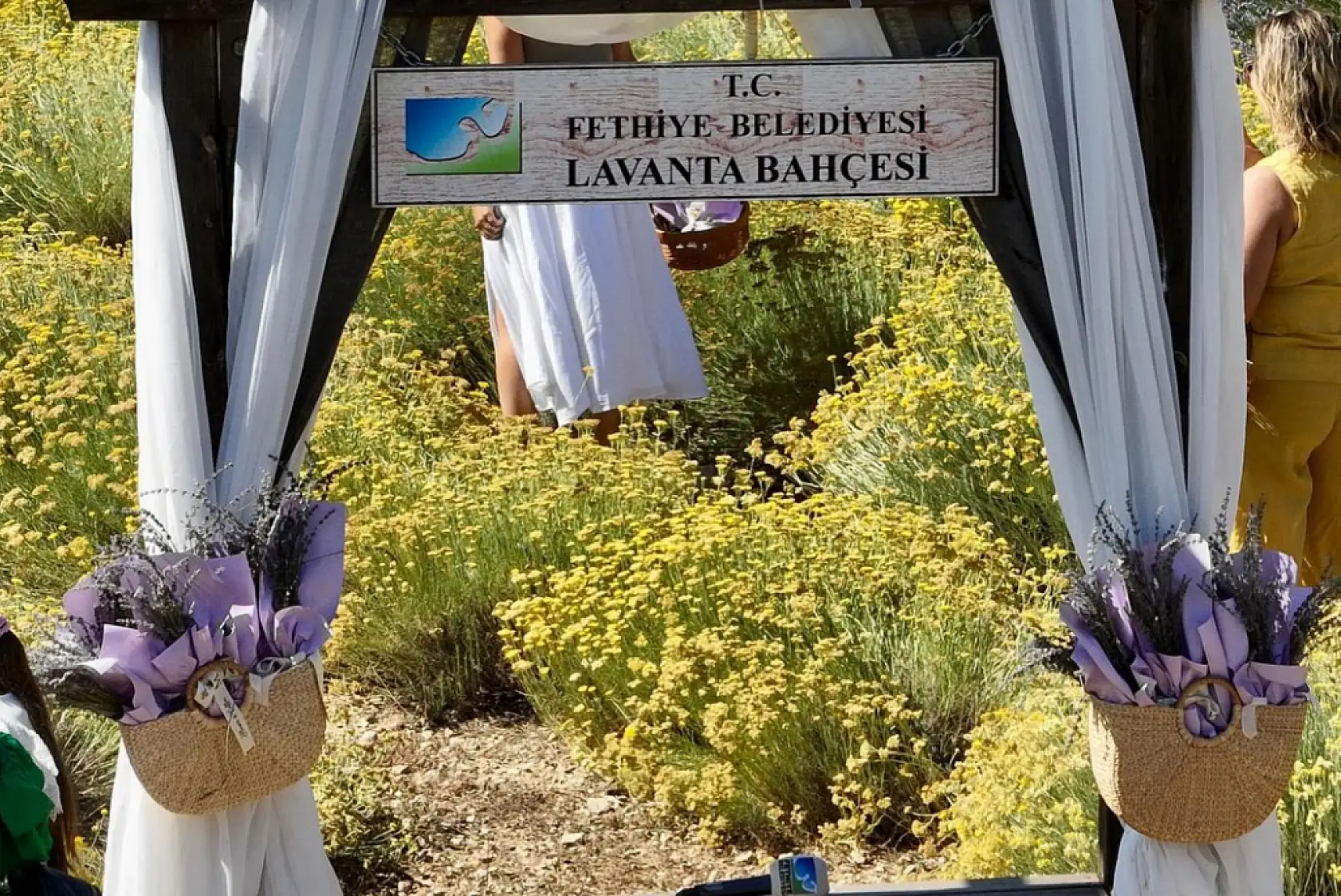 Fethiye'de Lavanta Hasadı Renkli Görüntülerle Gerçekleşti