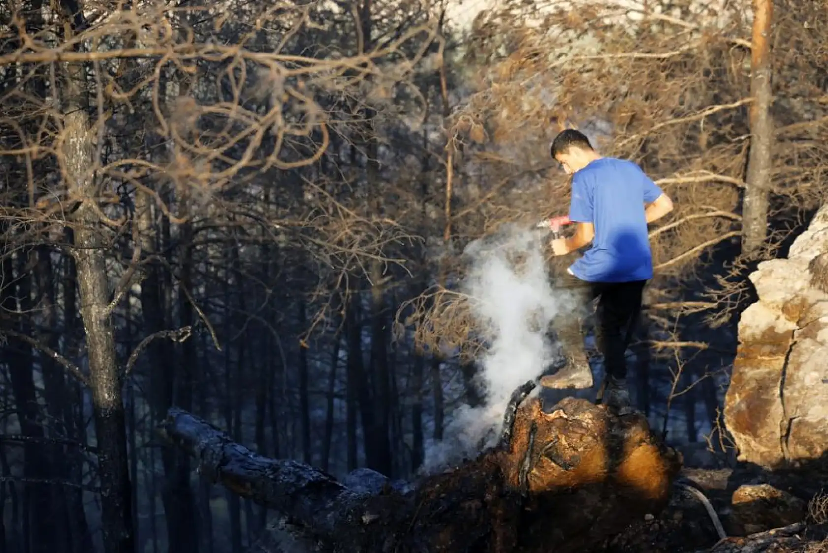 Milas'ta Yangın Tehlikesine Karşı Önlem Alınıyor Havadan ve Karadan Soğutma Çalışmaları