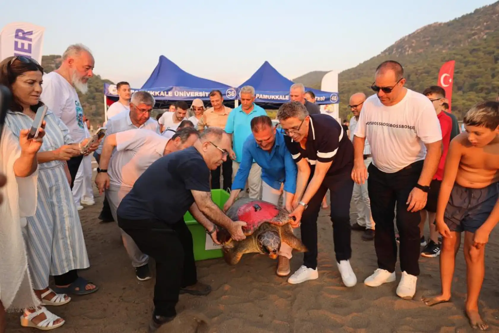 İztuzu Plajı'nda 'Tuba' Yeniden Denizle Buluştu: İkinci Uydu Takip Yolculuğu Başladı