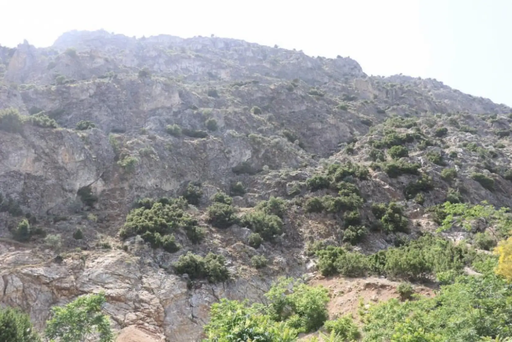 Doğa gezisine çıktı, 'En tepeye çıktım, mükemmel bir manzara var' dedikten sonra haber alınamadı