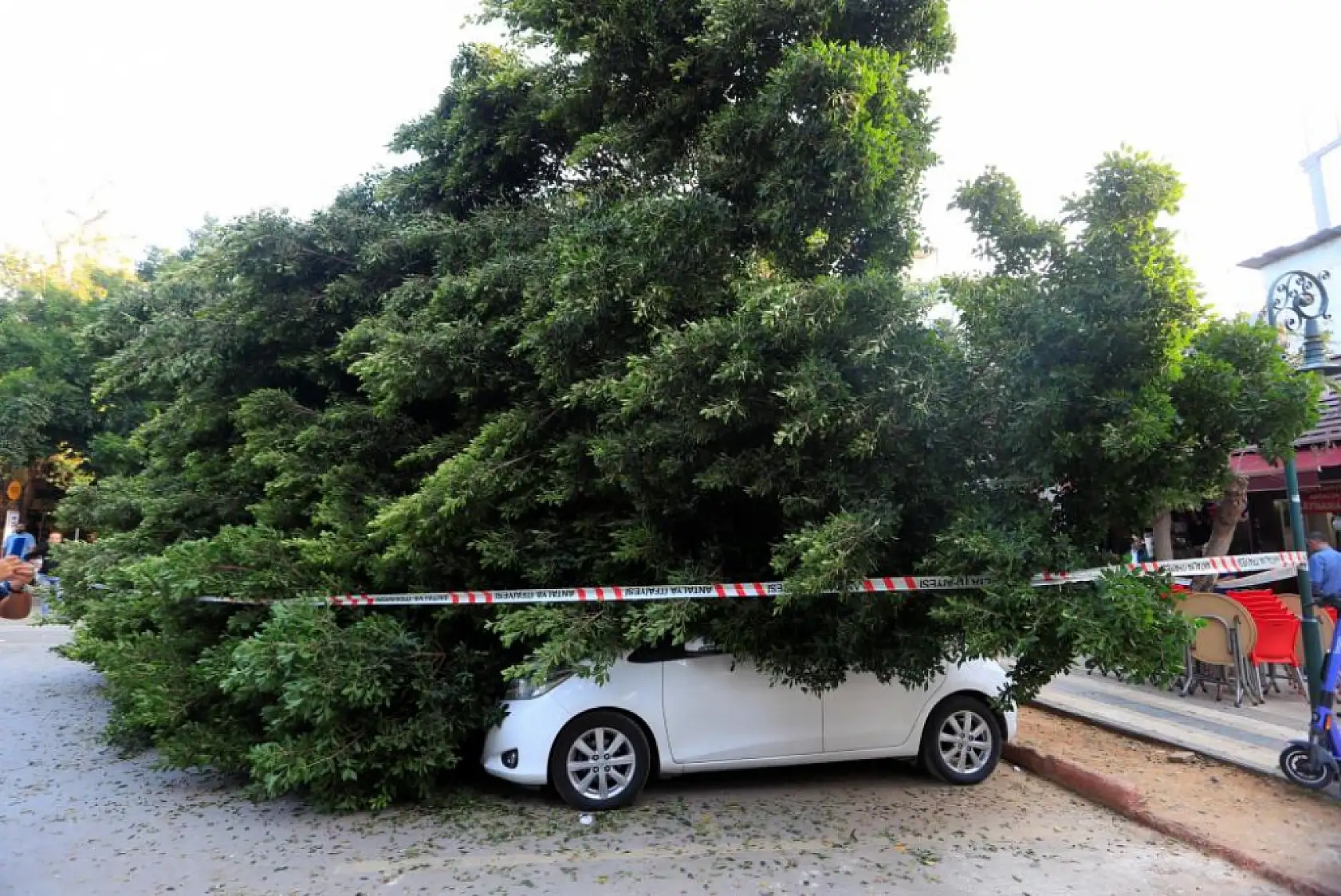 Devrilen ağaç 5 araca zarar verdi: Bir kişi son anda kurtuldu